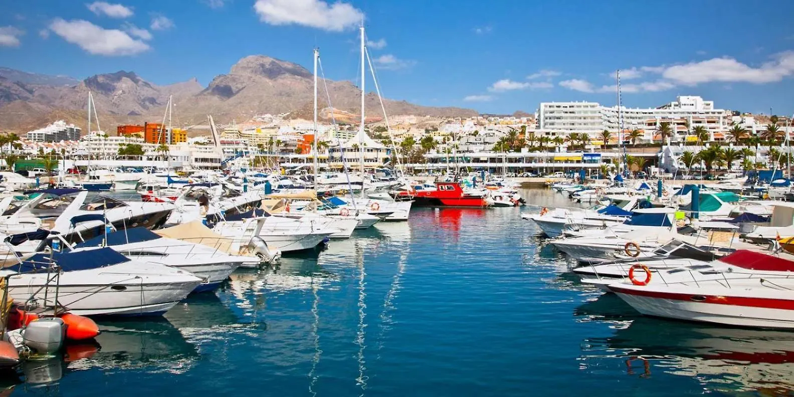 Las Brisas Seaview - Costa Adeje